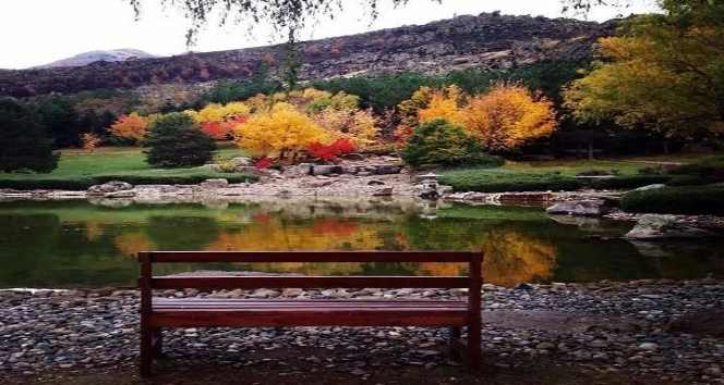Kırşehir’deki Japon bahçesinde sonbahar güzelliği