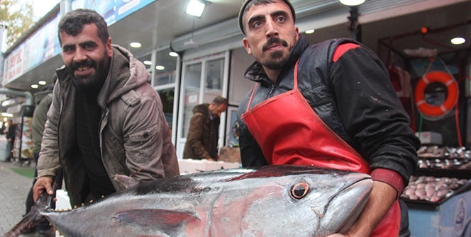 İlk kez geliyor! Vatandaşlar satın almaktan ziyade fotoğraf çektiriyor