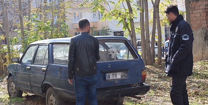 Polis geldi o bile yaklaşamadı! Arabanın içinde onu dehşetle izlediler