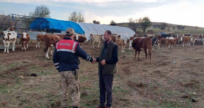 Jandarma, kayıp hayvanları ’drone’ ile buldu