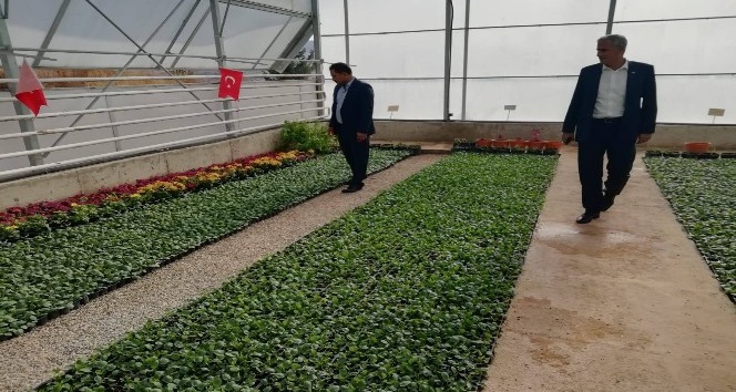 Kilis çiçek bahçesi olacak