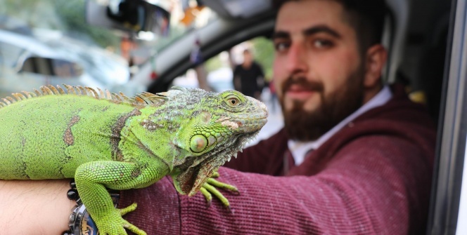 Görenleri hayrete düşüren görüntü!