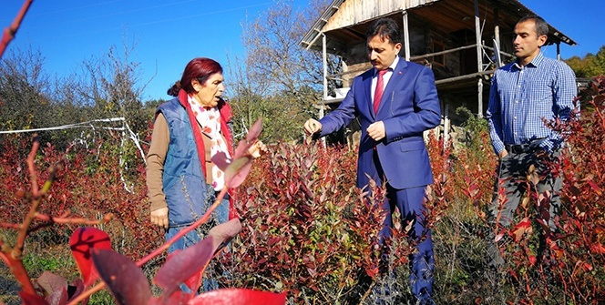 İnşaat mühendisiydi! Hayallerinin peşinden koştu