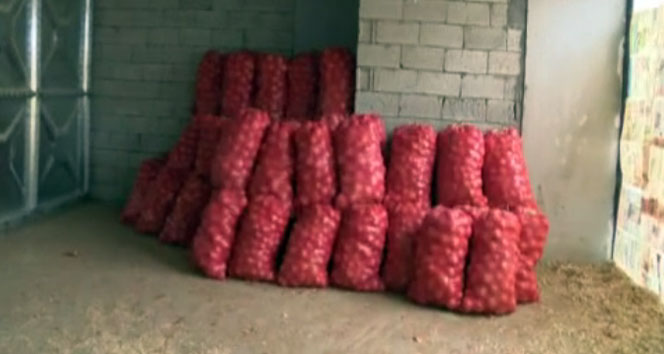 Soğan stokçusuna yapılan baskında 100 ton soğan bulundu