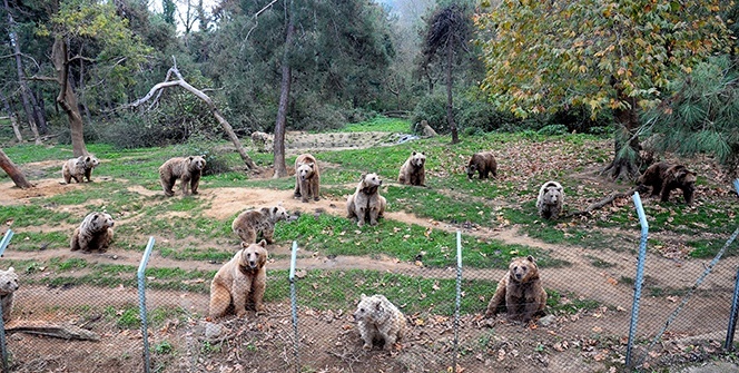 Uykudan önce böyle görüntülendiler