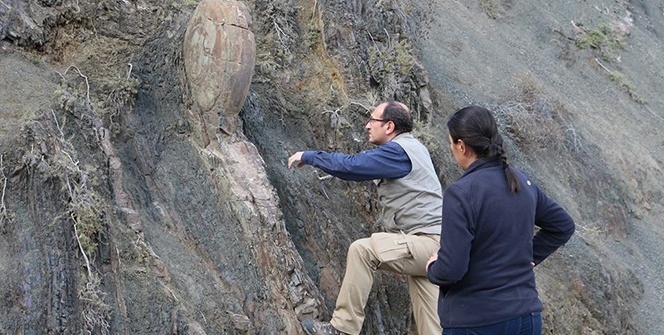 Görenleri şaşkına çevirdi! Yerinden çıkarılamayınca...