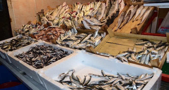 (Özel Haber) Balıkesir'de Balık, Kırmızı Et Fiyatları Ile Yarışıyor