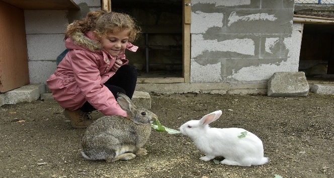 Minik dostlar minik ellere emanet