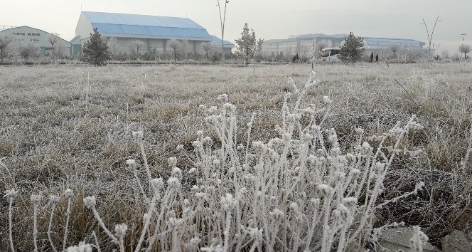 Kars’ta, soğuktan sis ve kırağı oluştu