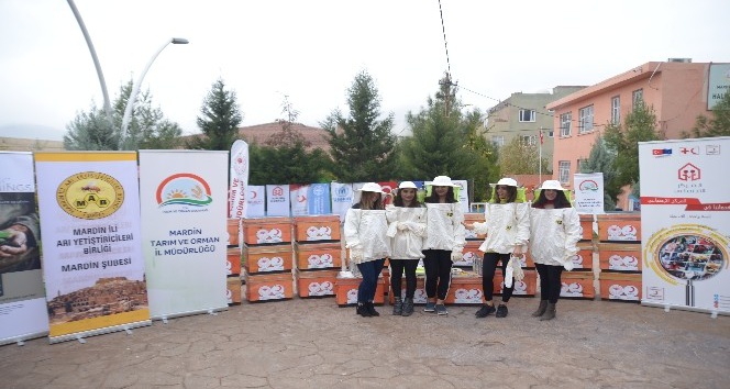 Mardin’de 40 kadına arı kovanları teslim edildi