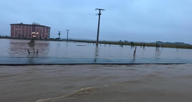 Nusaybin’de yağış sonrası dağdan gelen sular sele sebep oldu