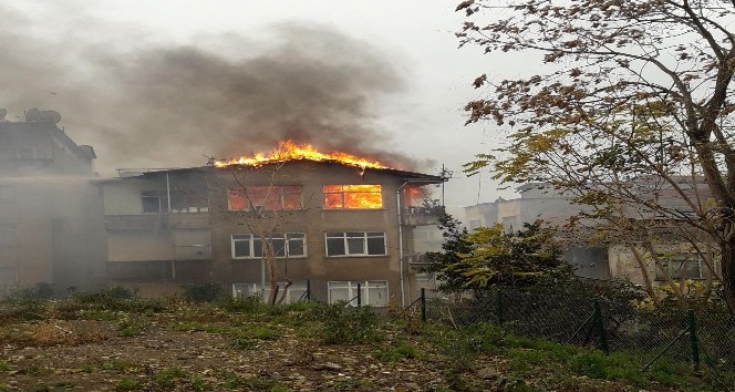Trabzon’da yangın korkuttu