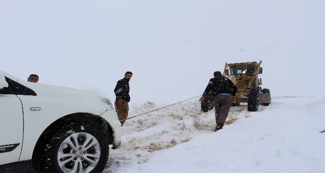 Yüksekova’da kar yağışı etkili oldu