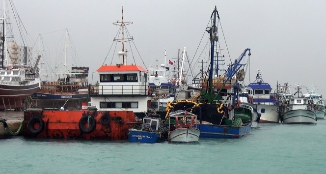 Mersinli balıkçılar limana tutsak