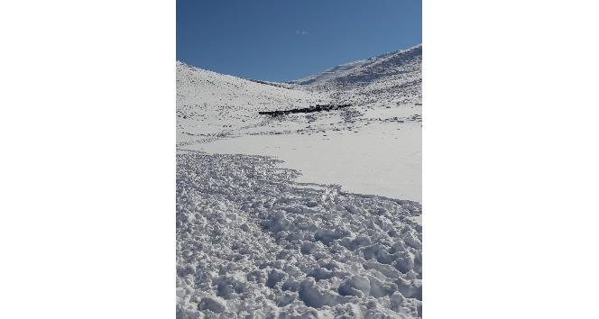 Antalya İmecik Beydağlarında karda mahsur kalan 100 büyükbaş hayvan kurtarıldı