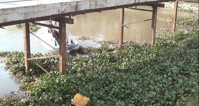 Asi Nehri’ni istila eden su canavarları temizleniyor