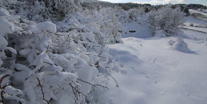 Uşak’ta kar yağışı sonrası kartpostallık görüntüler