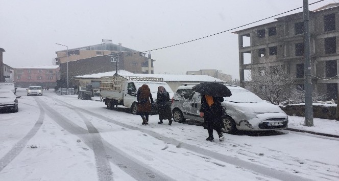 Bingöl ve Tunceli’nin ilçelerinde kar yağışı etkili oldu
