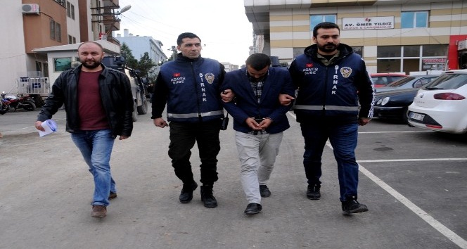 Cizre’de hırsızlık zanlısı tutuklandı