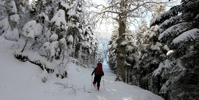 Uludağ’dan kartpostallık manzaralar