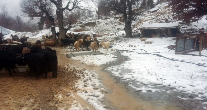 Antalya&#039;da karda mahsur kalan 2 çoban ve sürüsü kurtarıldı