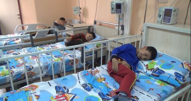 Hatay’da 15 kişi mantardan zehirlendi