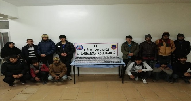 Siirt’te 14 kaçak göçmen yakalandı