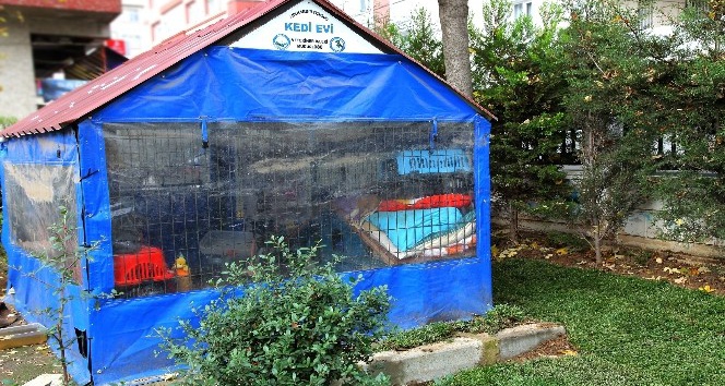 Avcılar’da sokak hayvanları için hazırlıklar tamamlandı