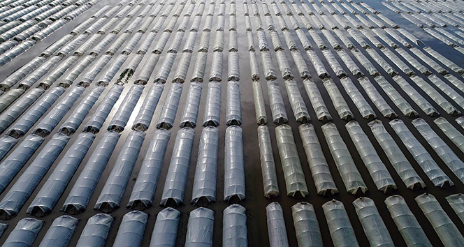 Türkiye’nin kışlık sebze üretim merkezinde seralar sular altında kaldı