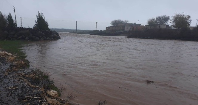 Viranşehir’de sağanak yağış sele neden oldu