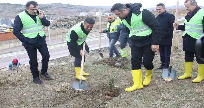 Çankırı Belediyesi bin 500 fidanı toprakla buluşturdu