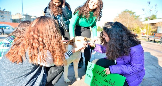 Mardinli öğrenciler hayvanlar için mama kabı ve yuva yaptı