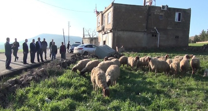 Hükümlülerin yeniden topluma kazandırılmaları projesi