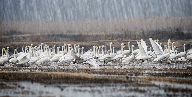 Bu görüntüler Türkiye'de çekildi