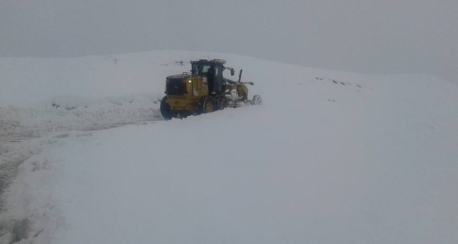 Sason’da kar yağışı etkili oldu