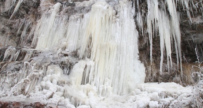 Ardahan’da soğuk hava nedeniyle şelale dondu
