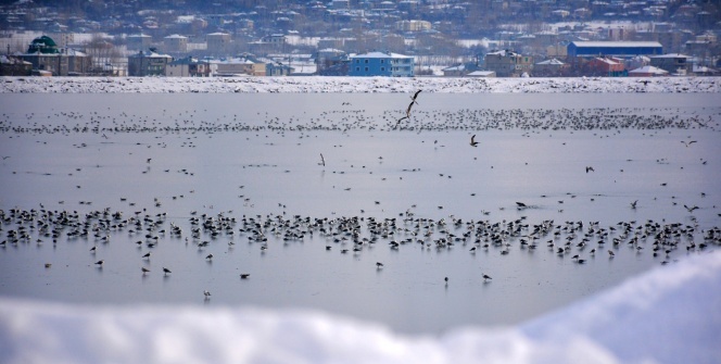 Sıhke Gölü buz tuttu