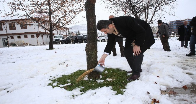 Tokat’ta sokak hayvanlarına yem bırakıldı