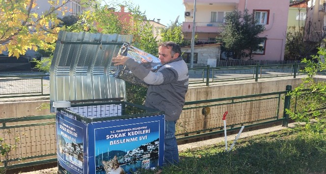 Marmaris�te Sokak Kedileri Aç Kalmıyor Muğla