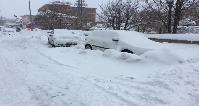 Karlıova’da kar ve tipi etkili oluyor