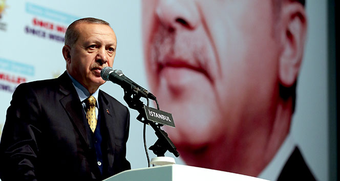 Cumhurbaşkanı Erdoğan: &#039;İnlerinde bastık ve imha ettik&#039;
