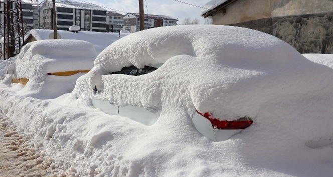 Bitlis’te tek katlı evler kardan kayboldu