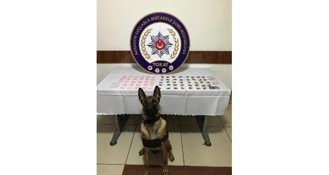 Narkotik köpeği Masha buldu, 3 kişi tutuklandı