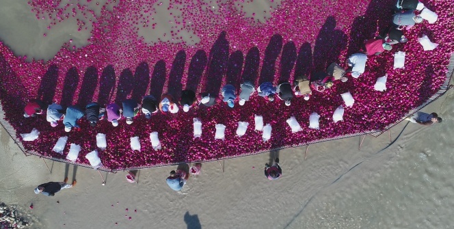 Turplar vadisinden Kadirli’ye yılda 100 milyonluk katkı