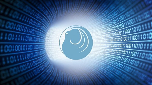 Eyüpsultan Belediyesi, Türkiye’nin siber kalkanı ’Ahtapot’ için kolları sıvadı