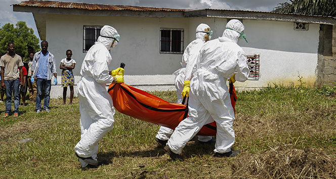 Demokratik Kongo&#039;da ebola vakaları 600&#039;ü geçti