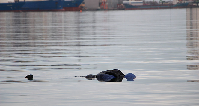 Samsun&#039;da denizde ceset bulundu