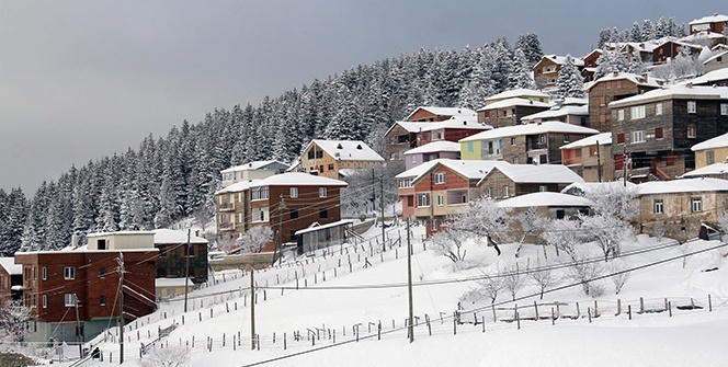 Giresun yaylalarından kartpostallık görüntüler