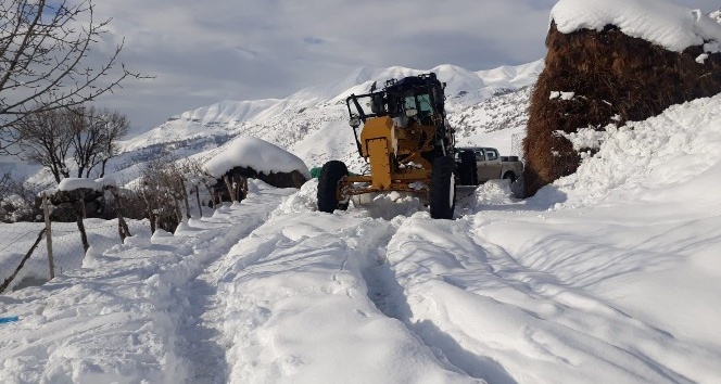 Şırnak’ta kar kalınlığı 2 metreye ulaştı, köy yolları ulaşıma kapandı