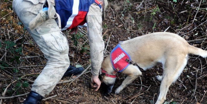 Terörün ve narkotik suçlarının korkulu rüyası: Keskin burunlar